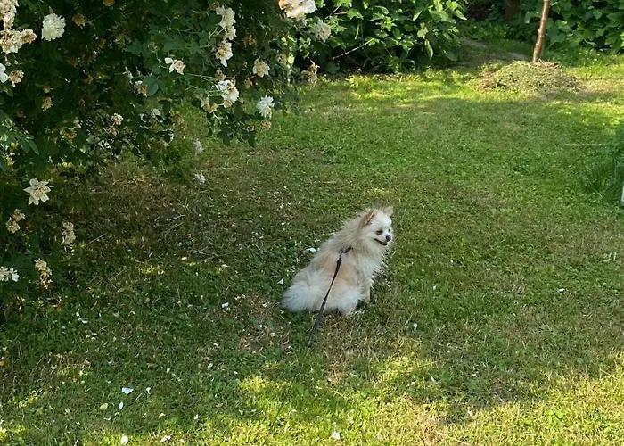 Апартаменти Charmantes Studio-apartment Im Shabby Chic Stil Mit Balkon Und Gartenblick - Ihr Perfektes Zuhause In *