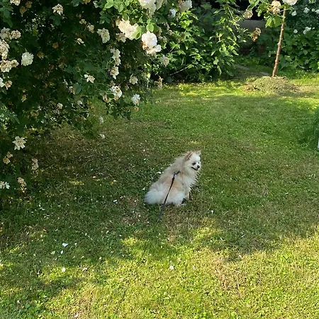 Апартаменты Charmantes Studio-apartment Im Shabby Chic Stil Mit Balkon Und Gartenblick - Ihr Perfektes Zuhause In *